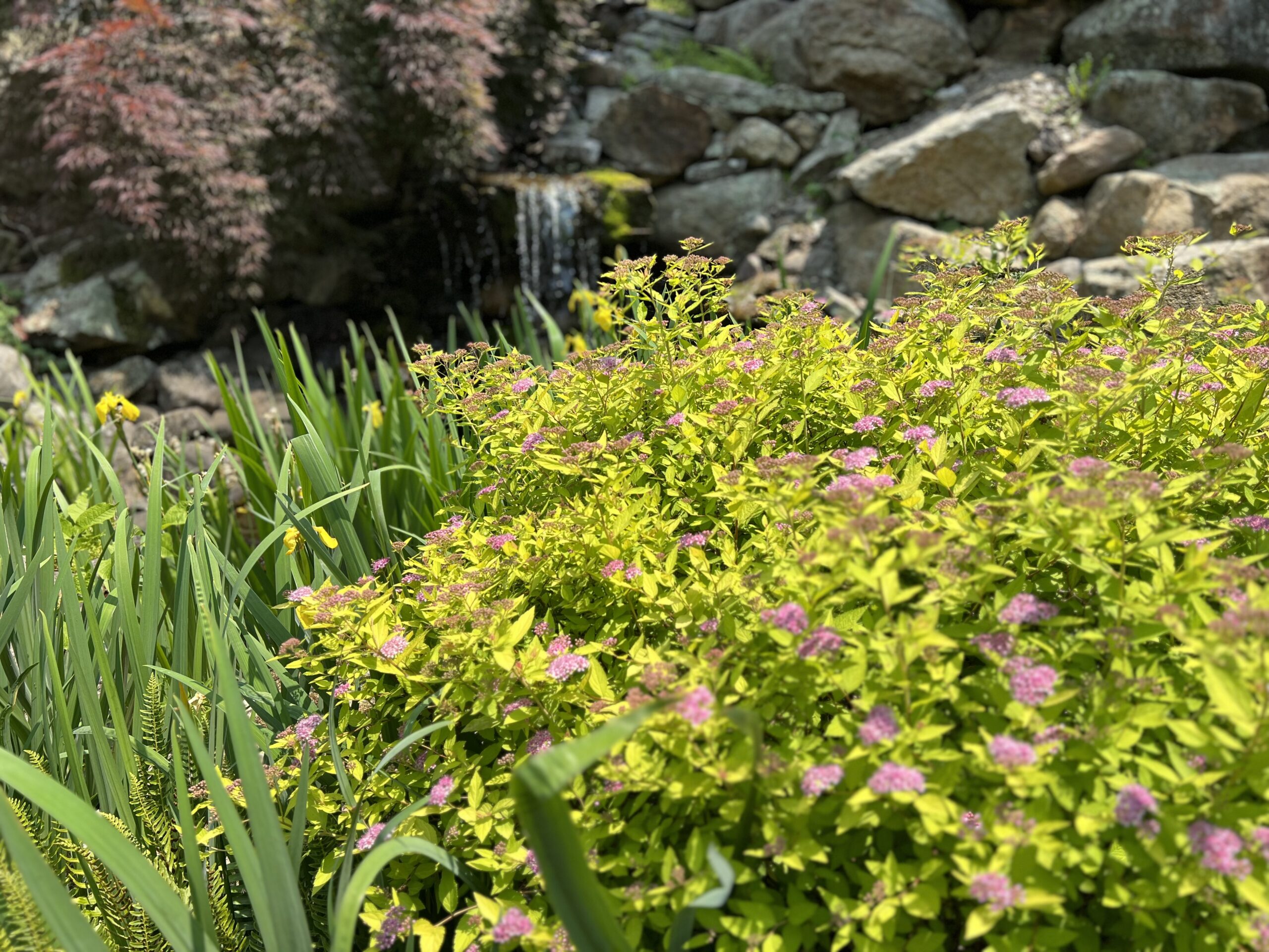 Landscaping Company In Blairstown, NJ Fine Landscapes LLC