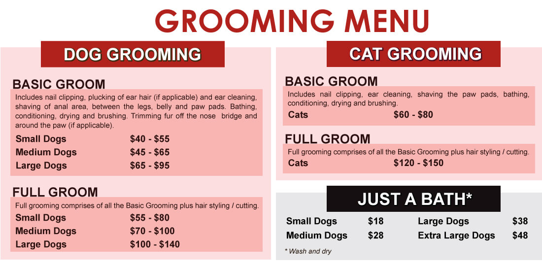 Pet Lovers Centre SEA’s Leading Pet Care Retail Chain [2022]