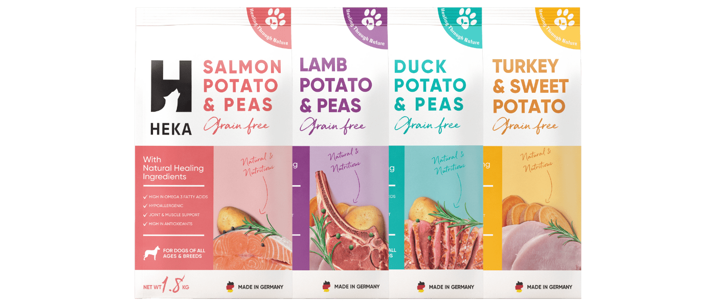 8 Best Dog Food in Singapore [2024]