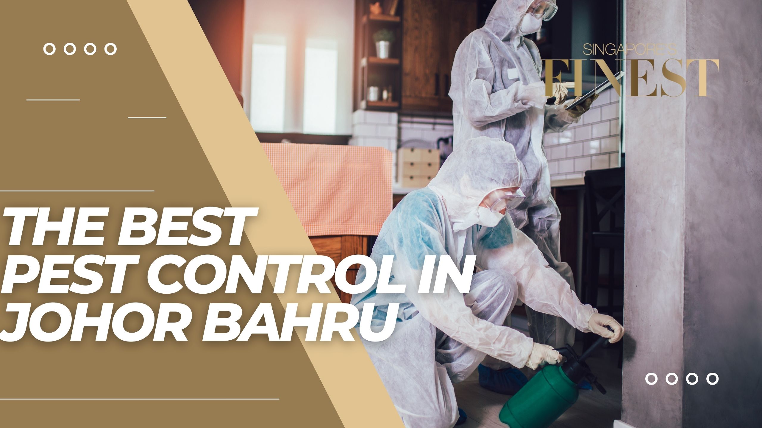 10 Trustworthy Companies for the Best Pest Control in Johor Bahru [2024]