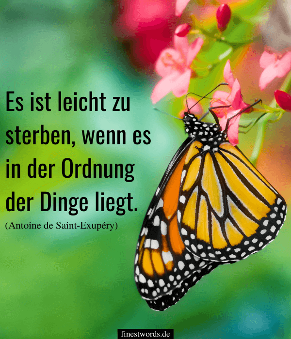 49 Sprüche Zum Abschied Kurz & Liebevoll (Für Todesfälle)