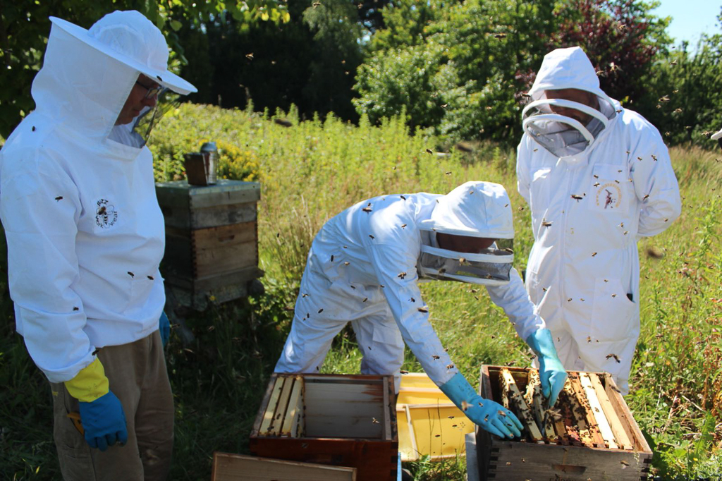 Beginners Fingal North Dublin Beekeepers' Association