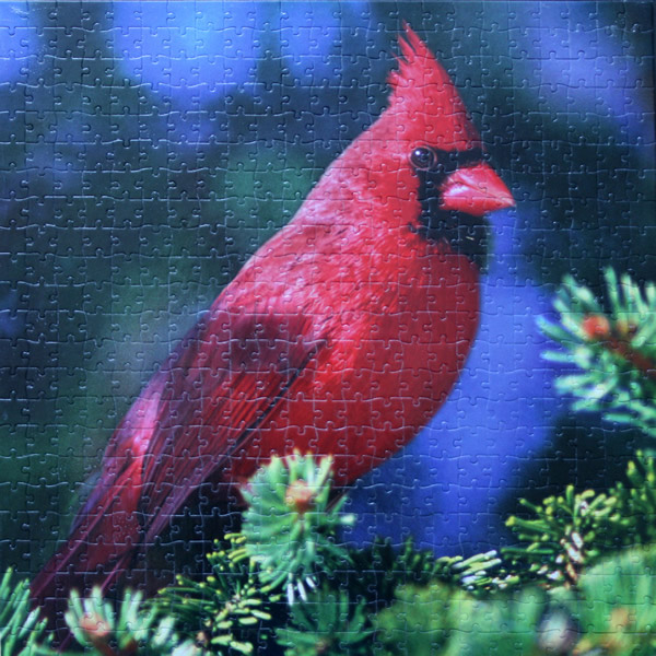 Puzzle Audubon Northern Cardinal Fingering Zen