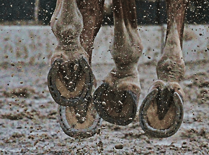 How to clean your horse's hooves Finish Line® Horse Products, Inc