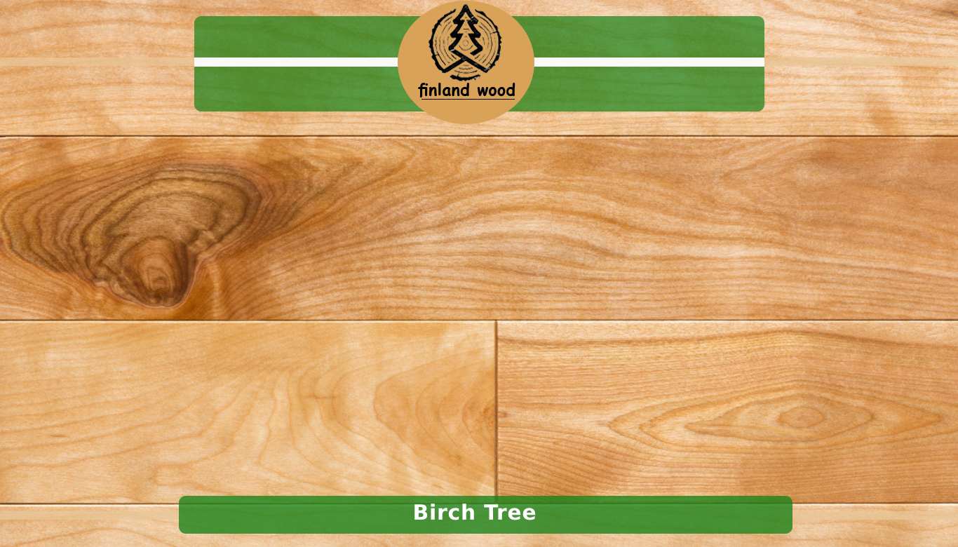 Birch Wood Planks (Color, Grain, & Characteristics + Price)