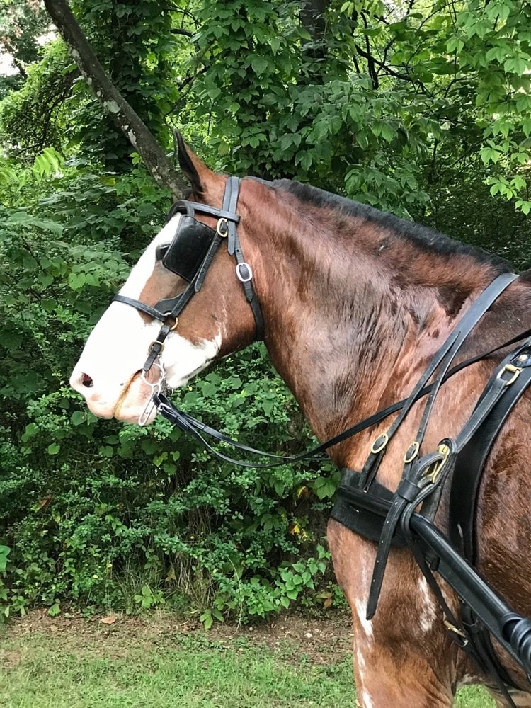 Gallery Finley Farms