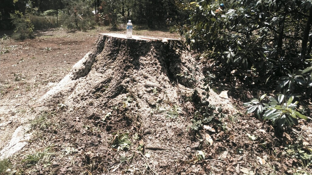 Finley Tree Service Simpsonville SC 29681 8647527359