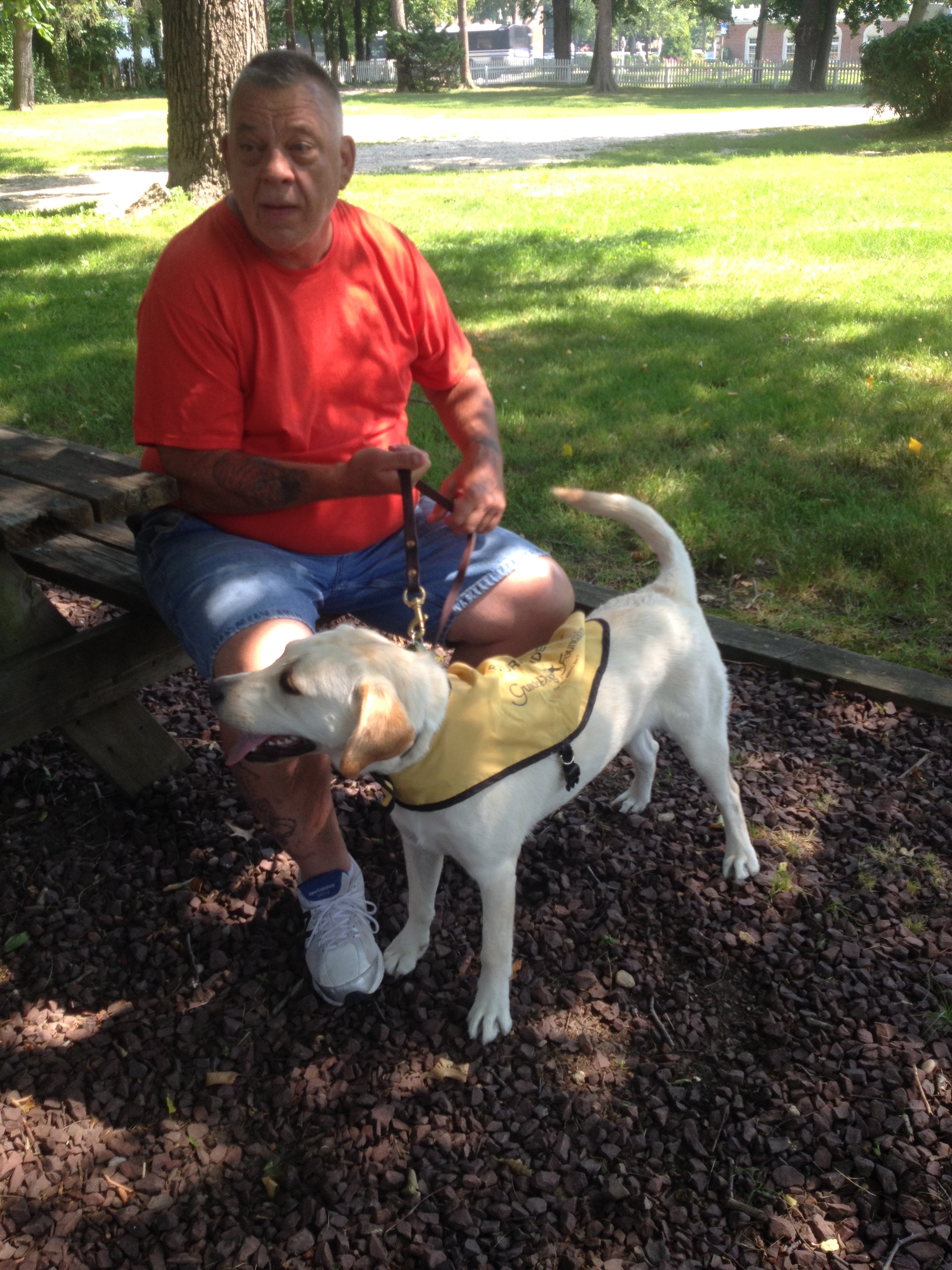 Guide Dog Foundation for the Blind Finn & Charley Too