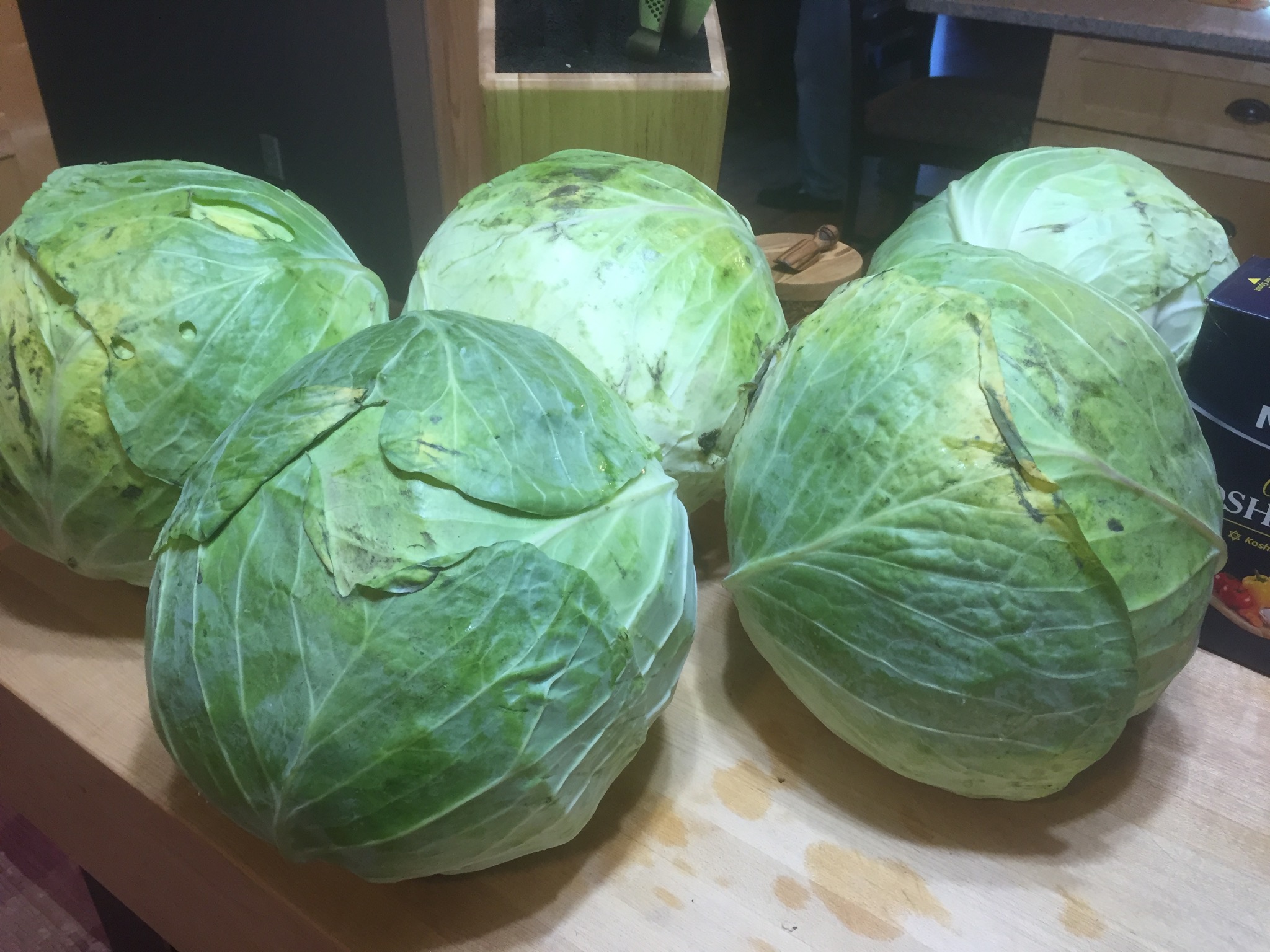 Sauerkraut For Canning The Finnish Dish