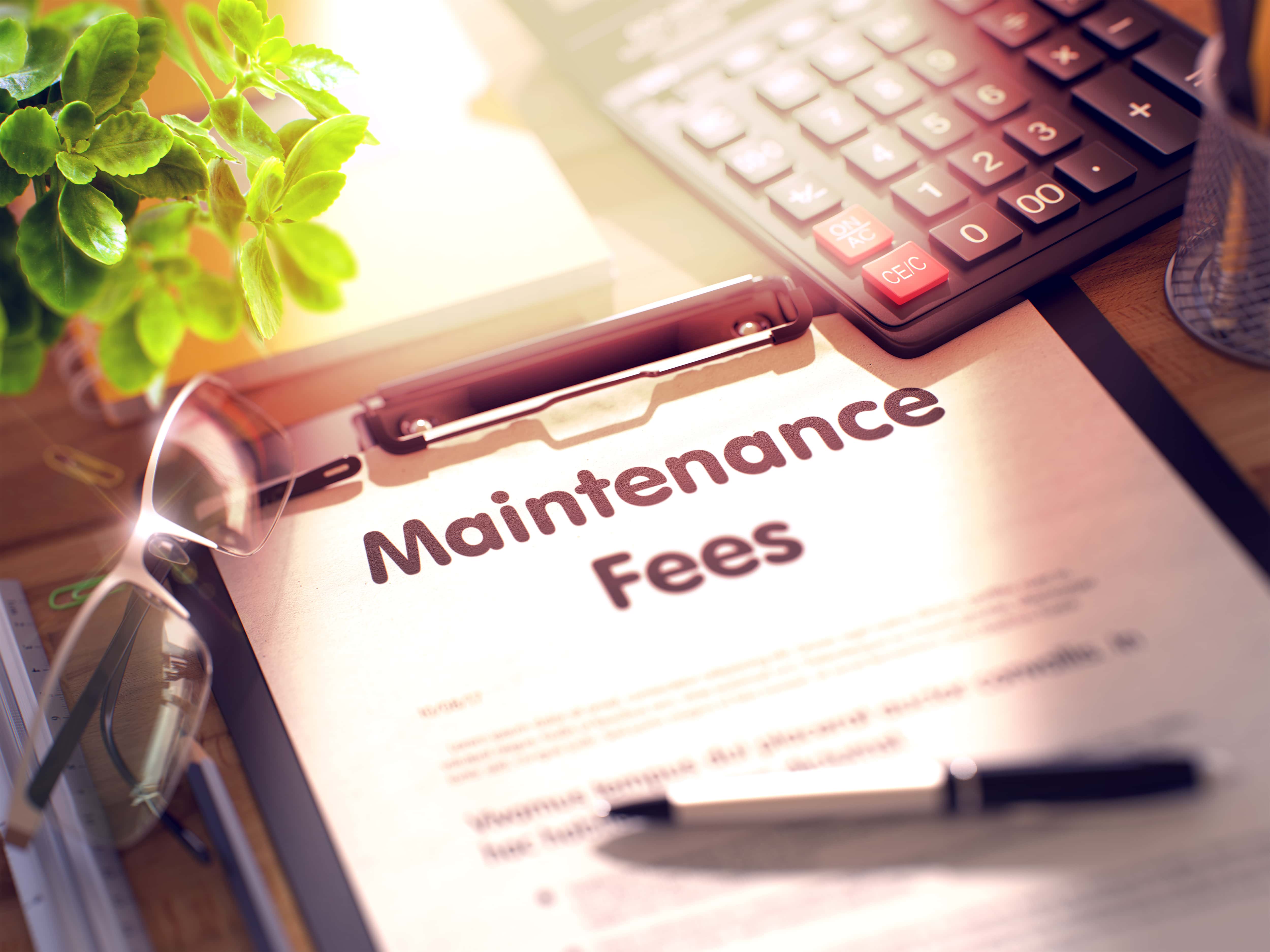 How Much Can My Timeshare Maintenance Fees Go Up Each Year? Finn Law