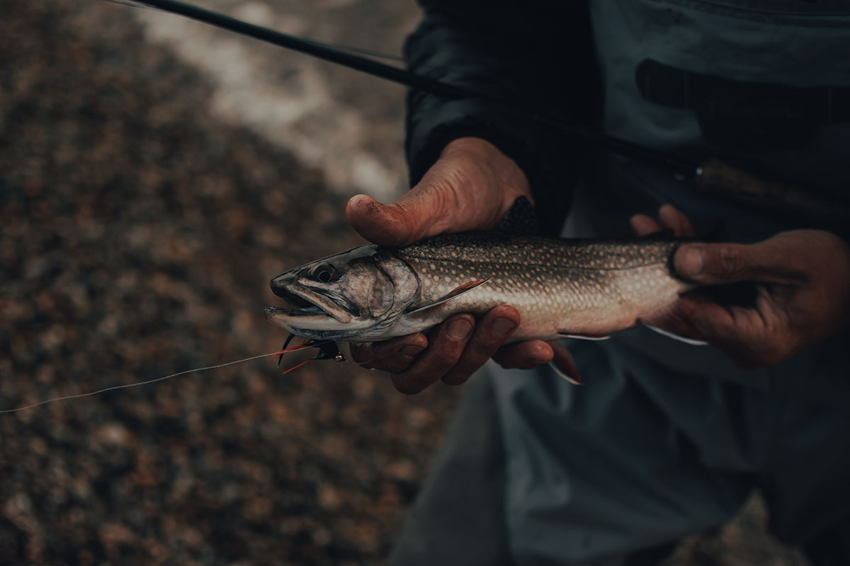 Landing Trout without a Net Essential Advice Finn's Fishing Tips
