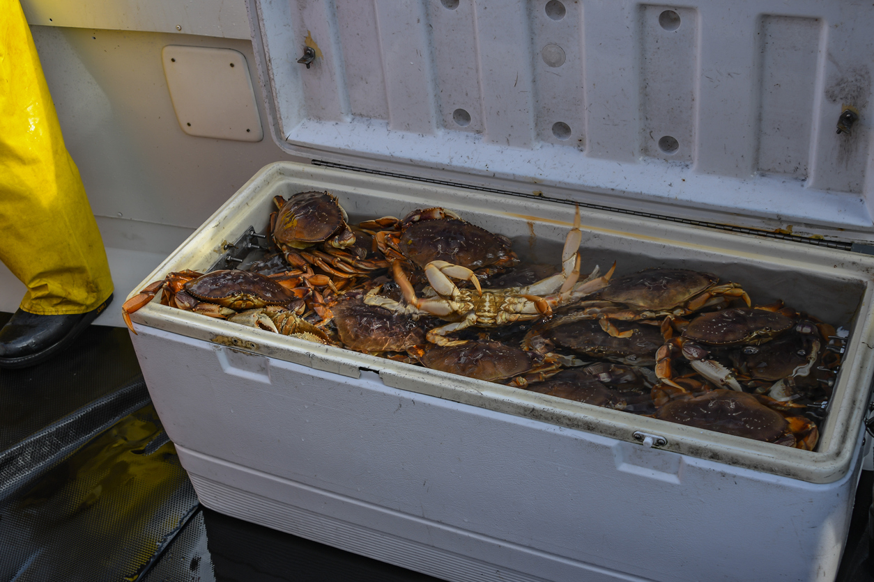 Best Crab Davits Top 7 Manual and Electric Picks Finn's Fishing Tips