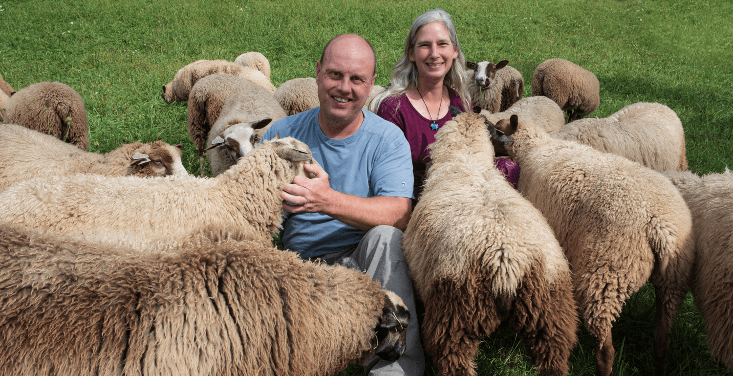 About Us Point of View Farm Purebred Registered Finnsheep