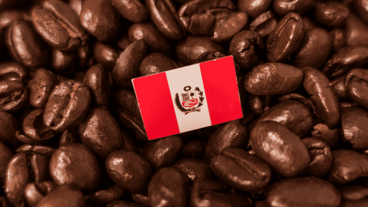 Peruvian Coffee What Is So Special About It? Finom Coffee