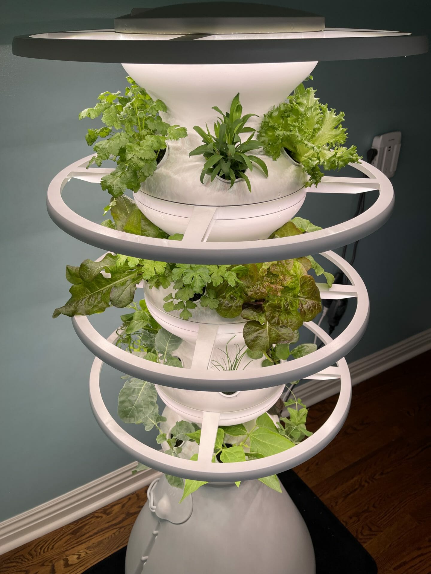 Lettuce Grow Farmstand Review Is It Worth It? Pros, Cons