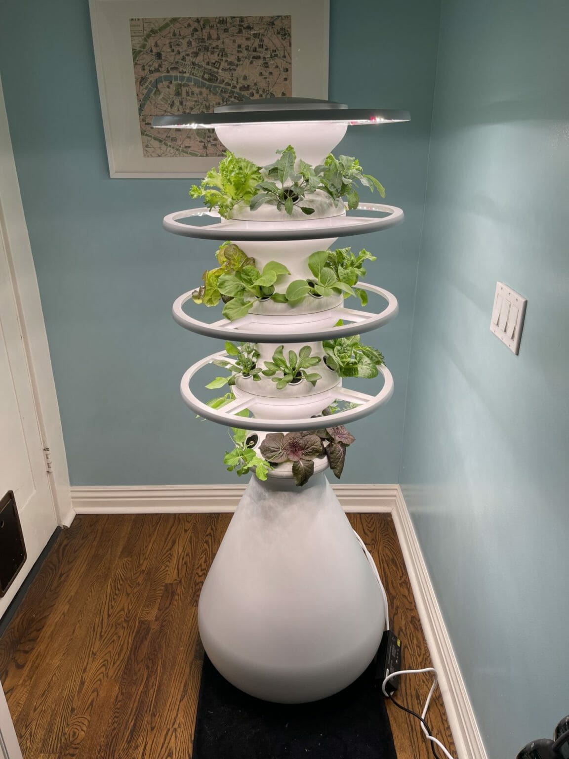 Lettuce Grow Farmstand Review Is It Worth It? Pros, Cons