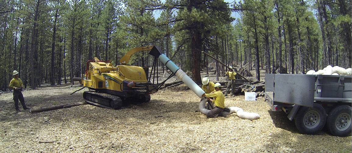 Timber Treatments Successfully Reduce Wildfire Risk in Utah