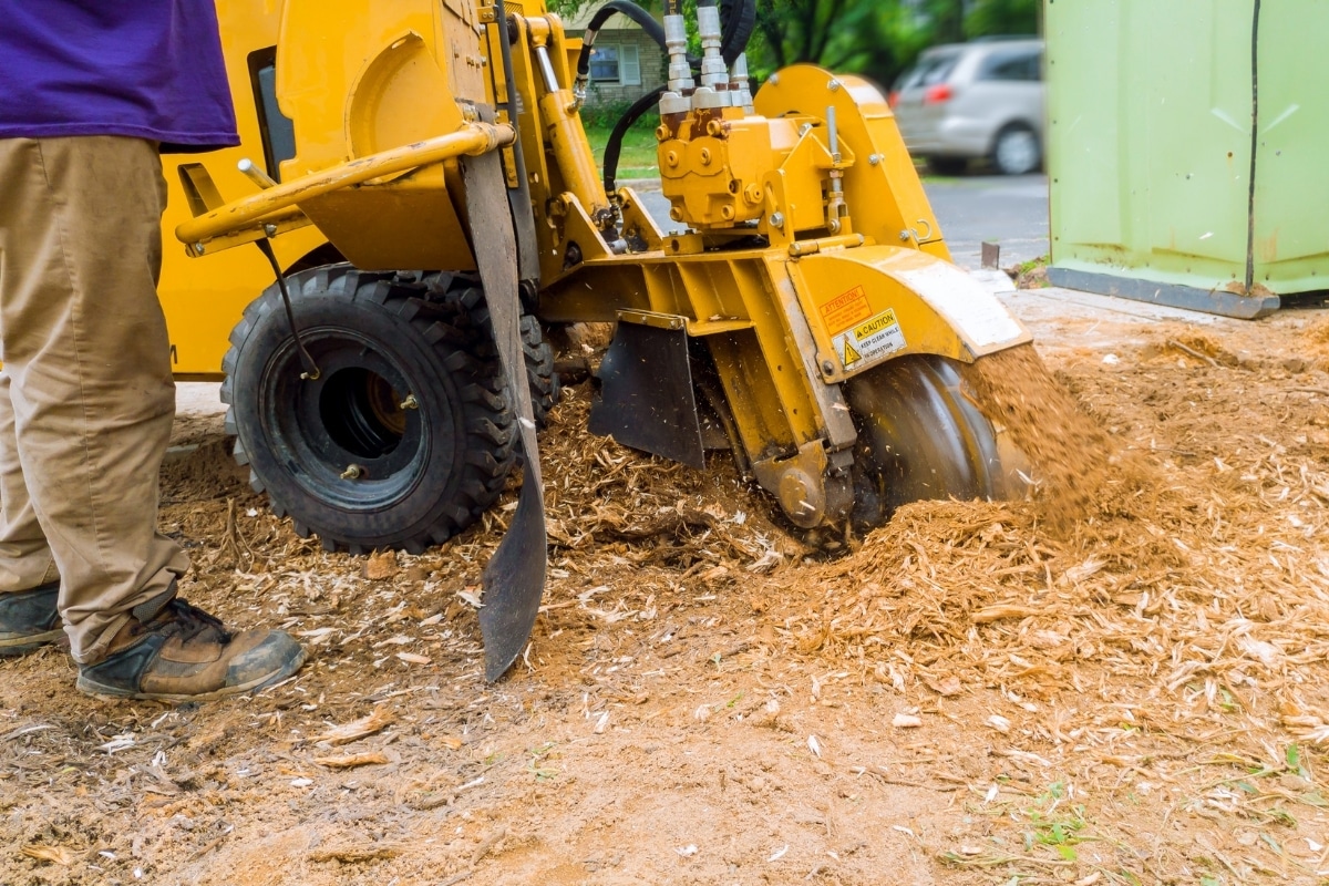 What Is Stump Grinding? 27 TOP FAQs On Using A Stump Grinder 2023