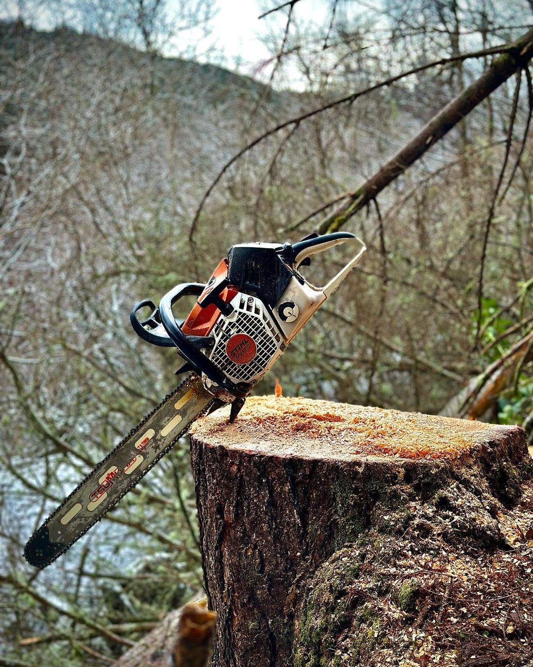 3 BEST Chainsaw Porting Services For Stihl, Husqvarna, ECHO...