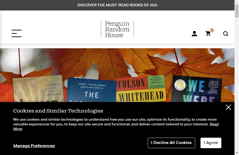 Best Publishing sites Examples Fireart Studio