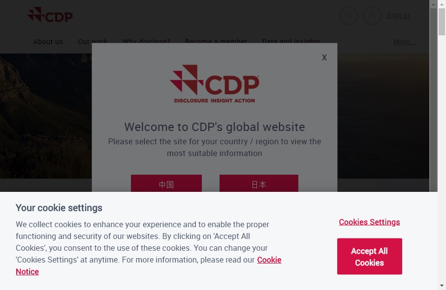 13 Best Environment site Design Examples Fireart