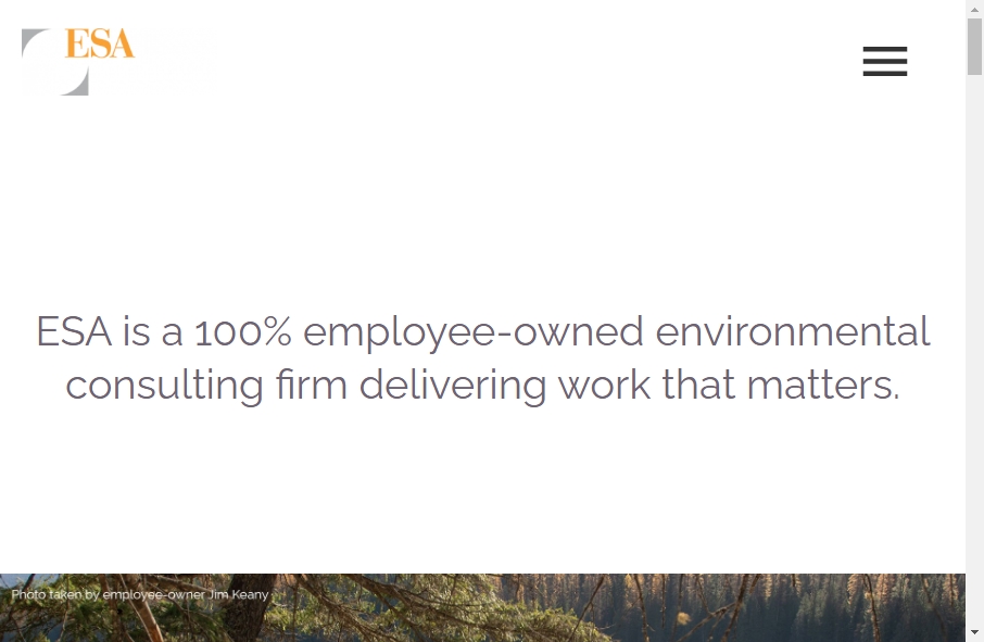 13 Best Environment site Design Examples Fireart