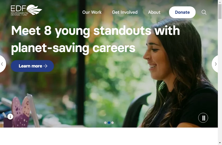 13 Best Environment site Design Examples Fireart