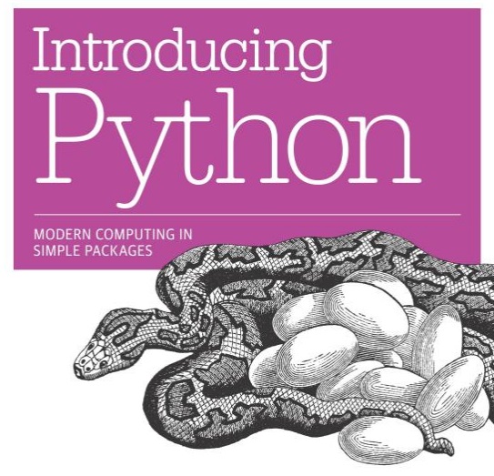 How To Code Like Real Pythonista (Best Python Books) FireBear