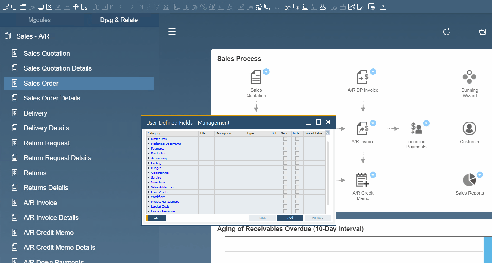 SAP Business One InDepth Review Navigation Through The SAP B1