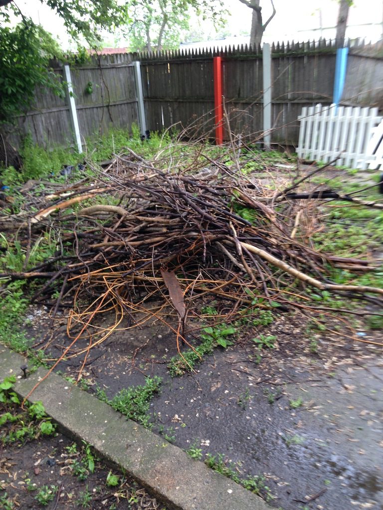 Tree Branch Hauling Indianapolis Fire Dawgs Junk Removal