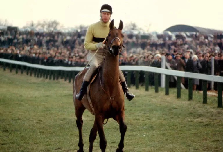What Were the Most Famous Racehorses in History? FiredOut