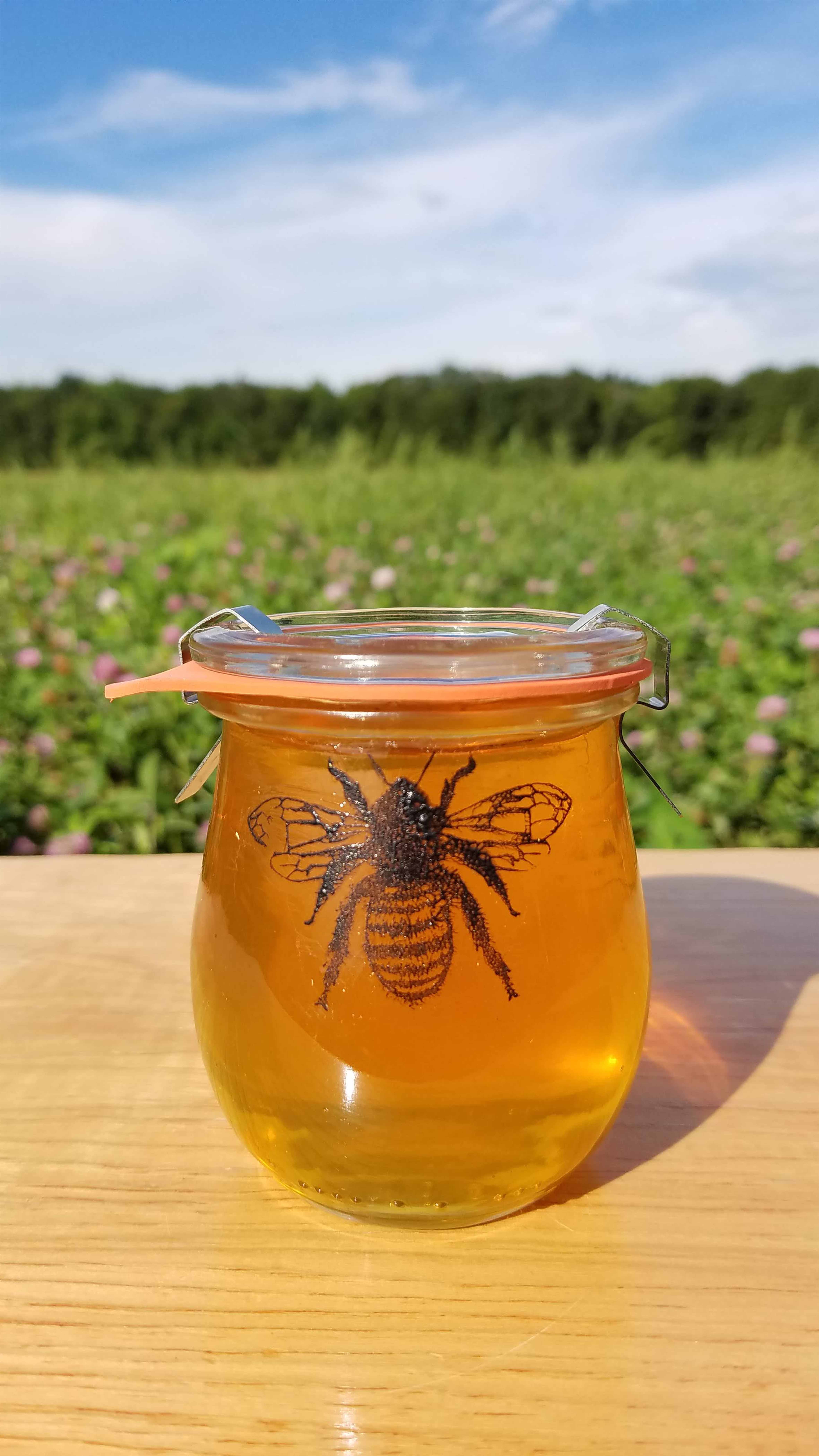 Raw Honey Firefly Fields