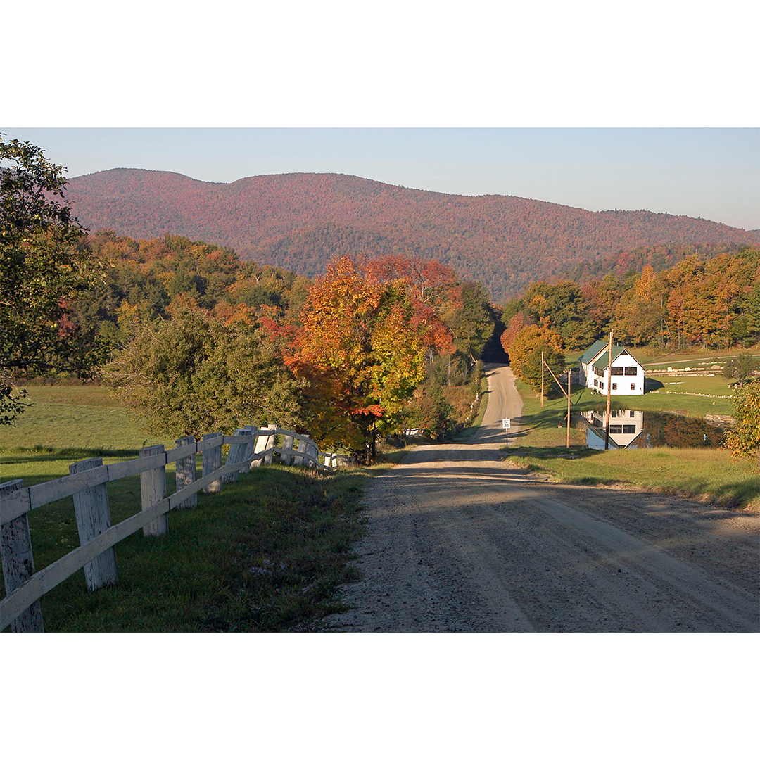 Jay McCarthy Online Gallery Firehouse