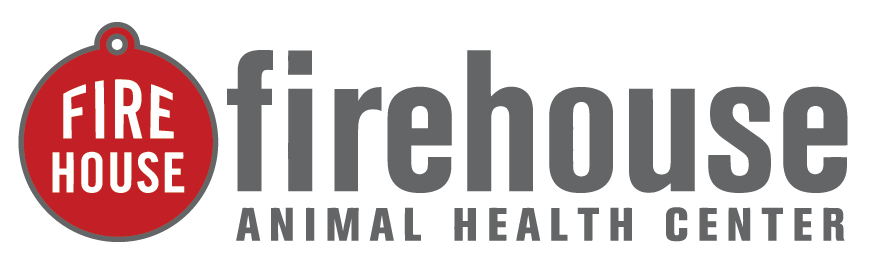 Vet Near Me 78640 Contact Us Firehouse Animal Health Center Kyle