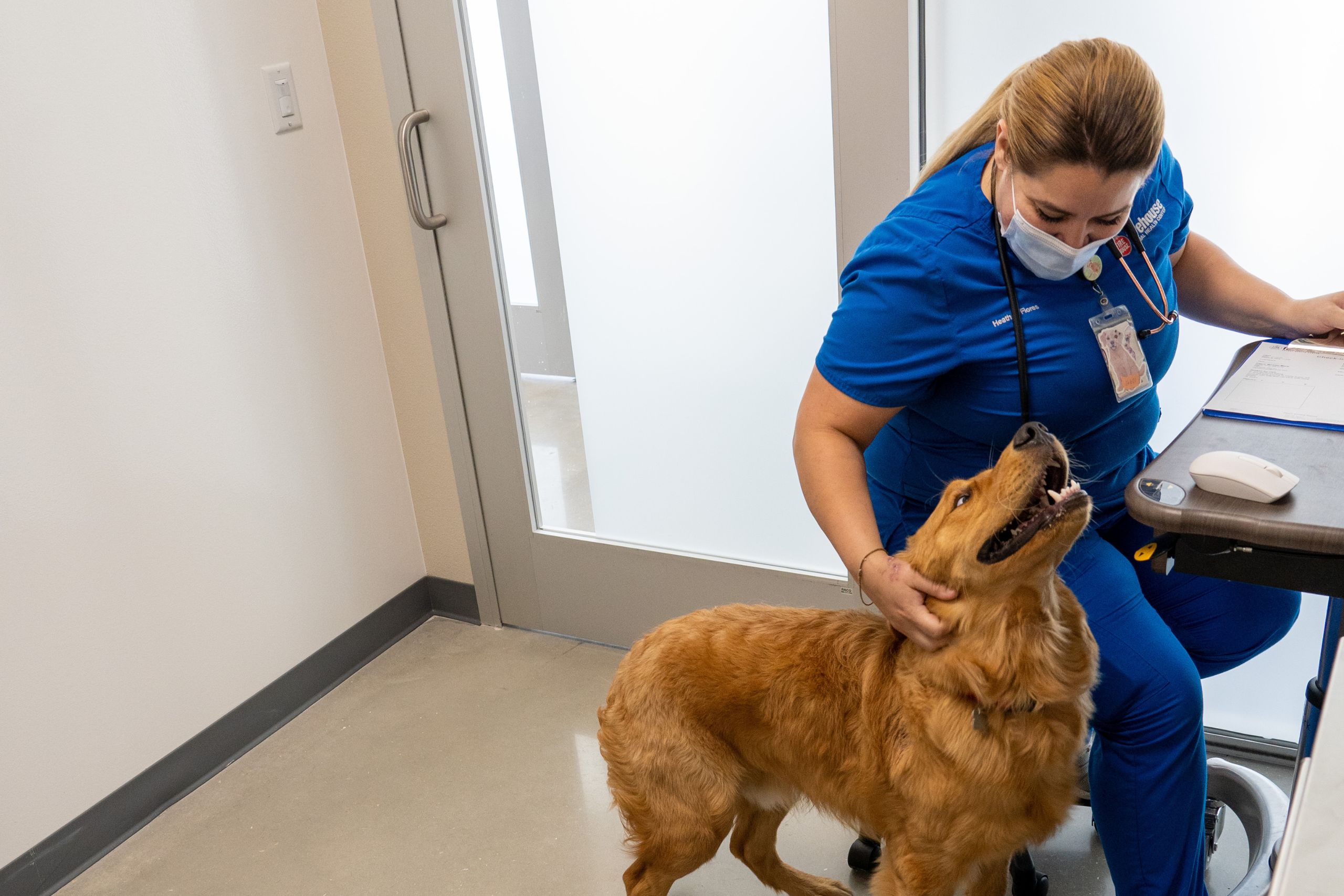 Best Veterinary Hospital Kyle, TX Firehouse Animal Health