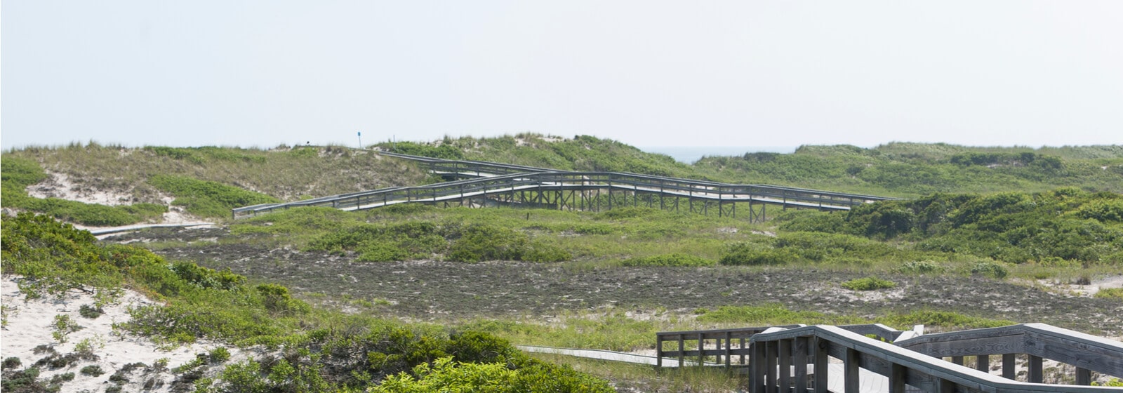 Dunewood Fire Island