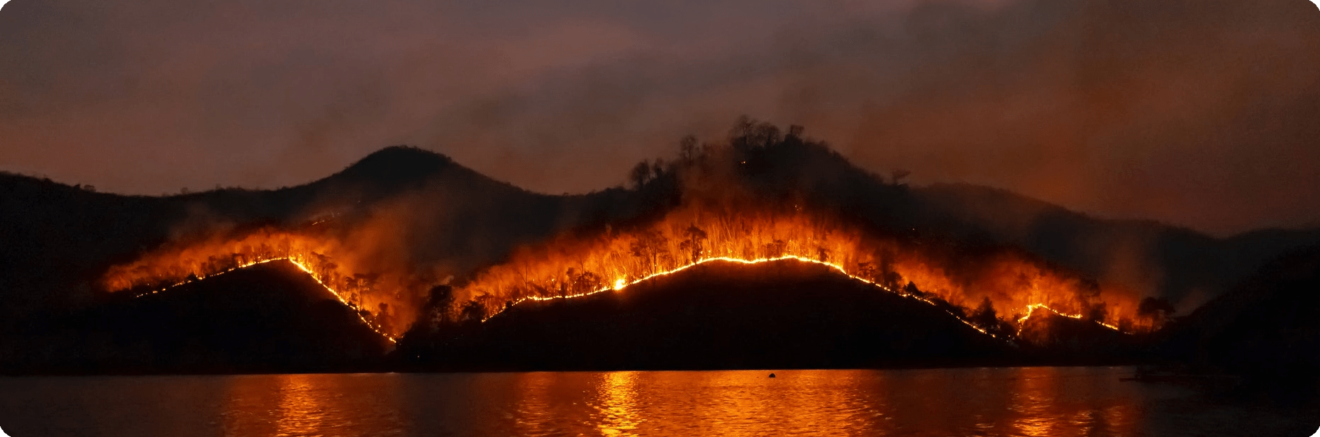 How do Wildfires Start and Spread