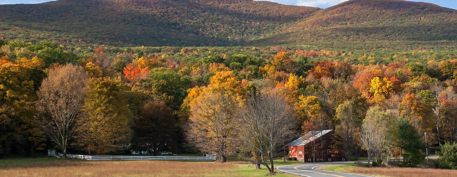 Auto, Car, Home, Business, Life Insurance in Cobleskill New York Fire