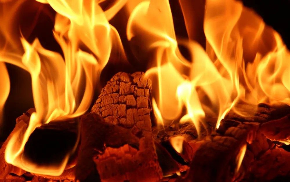 How Long to Season Cottonwood for Firewood? 2024 Updated