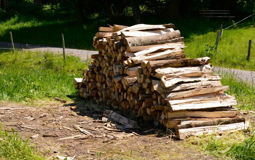 How Long to Season Cottonwood for Firewood? 2024 Updated