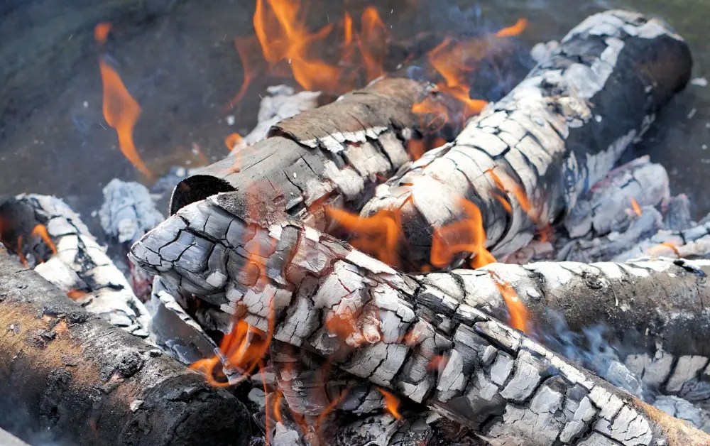 How Long to Season Cottonwood for Firewood? 2024 Updated