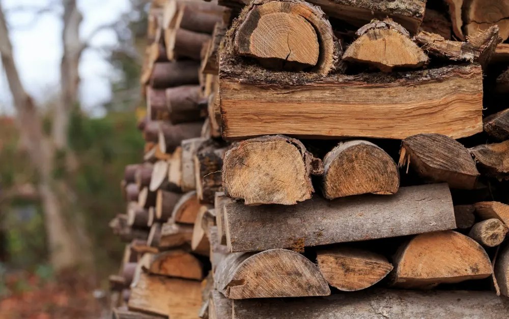 How Long to Season Cottonwood for Firewood? 2024 Updated