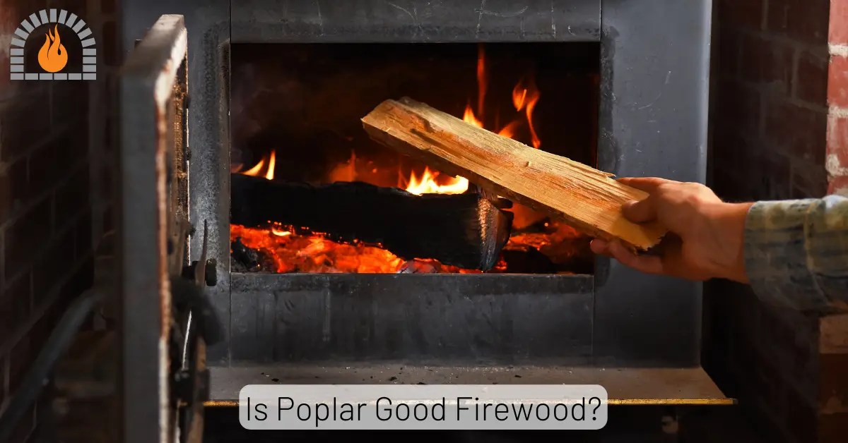 Is Poplar Good Firewood? Pros And Cons Explained