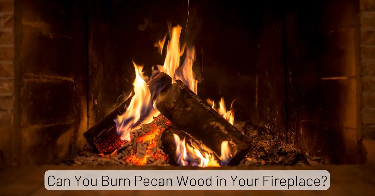 Can You Burn Pecan Wood in Your Fireplace? [Pros & Cons]