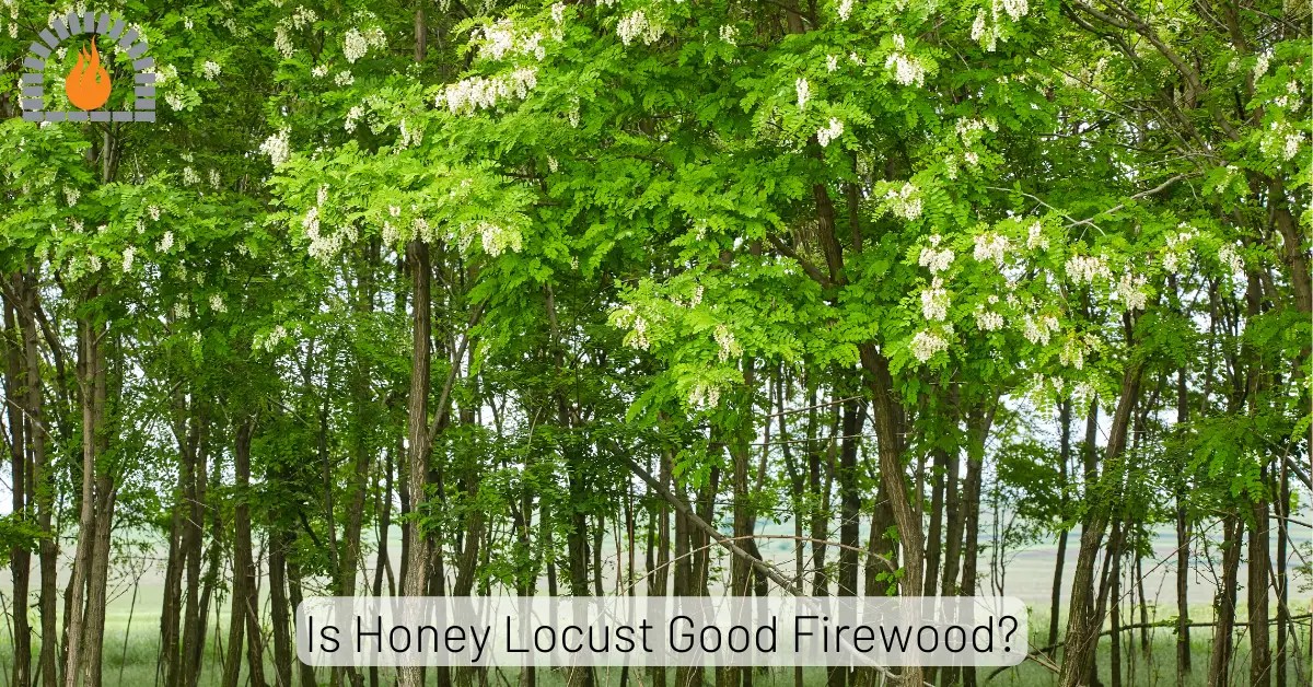 Is Honey Locust Good Firewood? Pros And Cons Explained