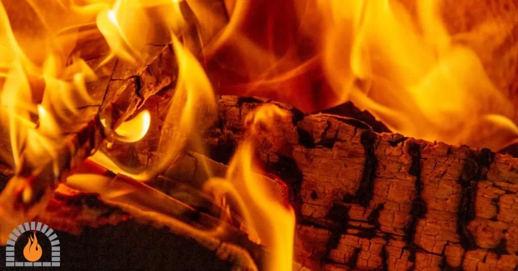 Is Box Elder Good Firewood? [Pros and Cons Explained]