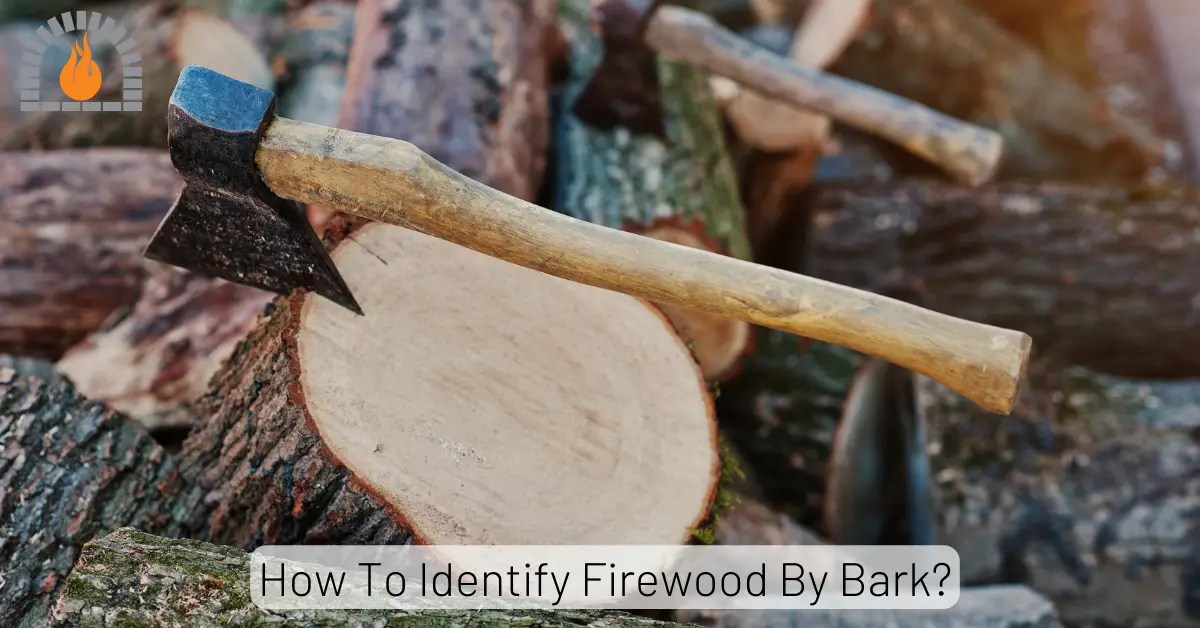 How To Identify Firewood By Bark? 7 Signs Identification