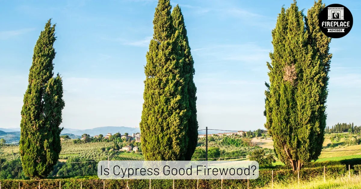 Is Cypress Good Firewood? [Pros and Cons]