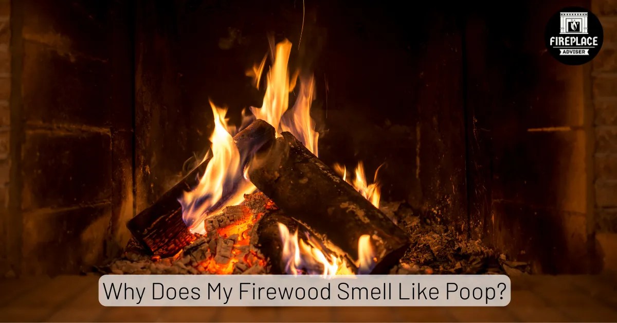 Why Does My Firewood Smell Like Poop? [Causes & Fixes]