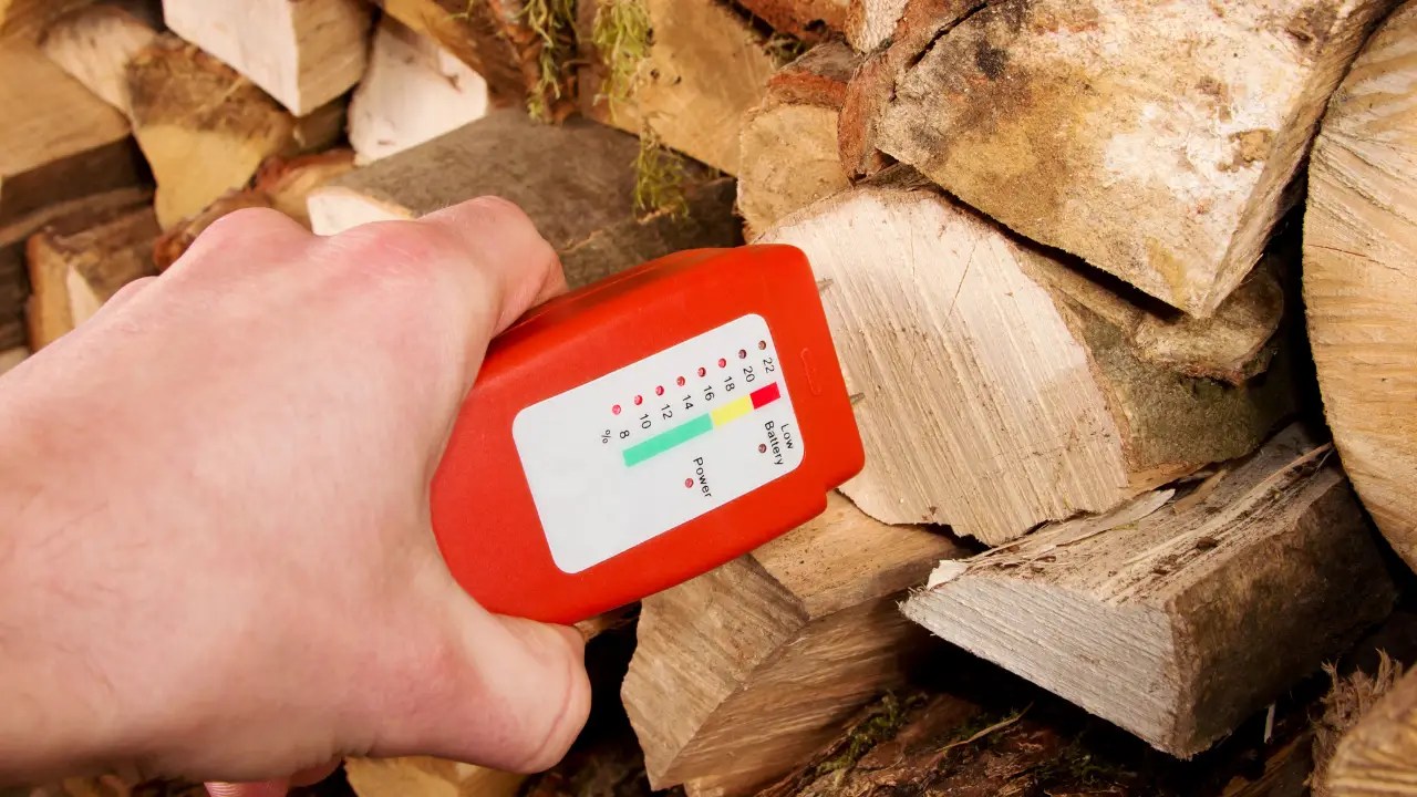 Uncured Firewood Risks Health Hazards & Safety Tips